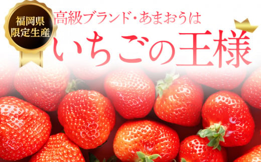 【先行予約】ジャム用あまおう2kg ※2027年2月中旬～5月10日頃にかけて順次出荷予定 BD07