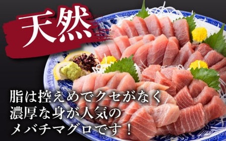 【定期便3回】天然メバチマグロ 中トロ500g【3回定期便マグロマグロマグロ】