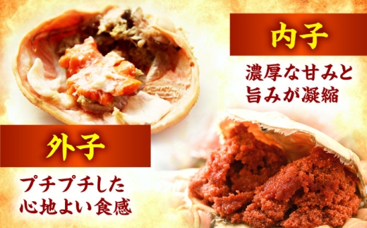 「若狭小浜港産地直送」 冷凍 セイコガニ (コッペガニ) ボイル 5杯 / 冷凍カニ 蟹 メズガニ 小浜市 / 加福鮮魚【配送不可地域：北海道・沖縄・離島】 [BFBC006] 