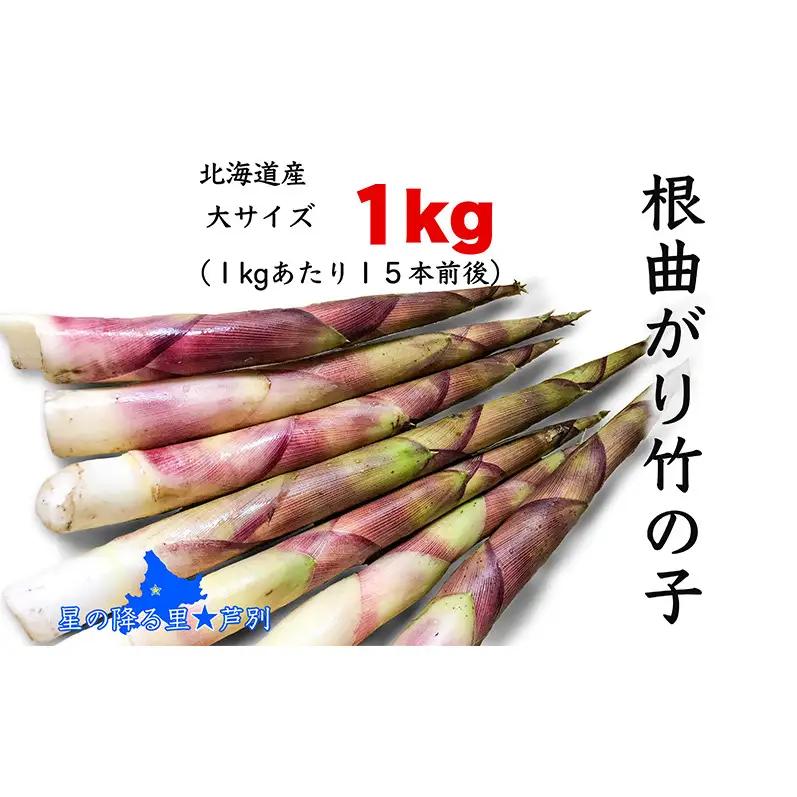 たけのこ 根曲がり竹の子 1kg 15本程度 山菜直売店中野渡 北海道産 竹の子 タケノコ 野菜 山菜 新鮮 味噌汁 春の恵 調理 冷蔵配送 北海道 芦別市