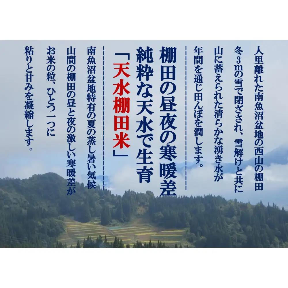 令和8年産新米予約【天水棚田米】雪蔵熟成塩沢産コシヒカリ精米5kg1回「とやの里山継承プロジェクト」【銘柄米 ブランド米 精米 こしひかり コシヒカリ 魚沼産 新潟米 お米 米 こめ】【2026年10