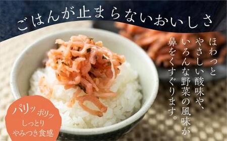 めしどろぼ漬け10袋セット 漬物 漬け物 香の物 副菜 郷土料理 お漬物 ご飯のおとも うら田 KF002