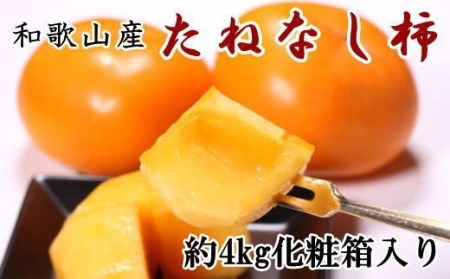 【秋の味覚】和歌山産のたねなし柿2L～4Lサイズ約4kg（化粧箱入り）※2024年10月上旬～2024年11月上旬頃に順次発送【tec409】