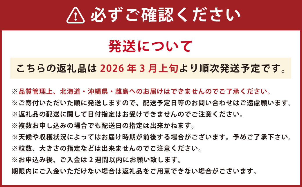 春のあまおう 2L・2A・G規格以上 約250-270g×4パック