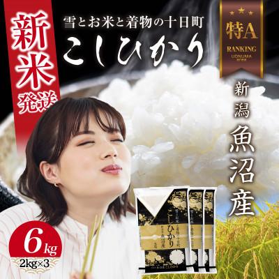 ふるさと納税 十日町市 令和7年産 新潟県 魚沼産 コシヒカリ 6kg (お米の美味しい炊き方ガイド付き)