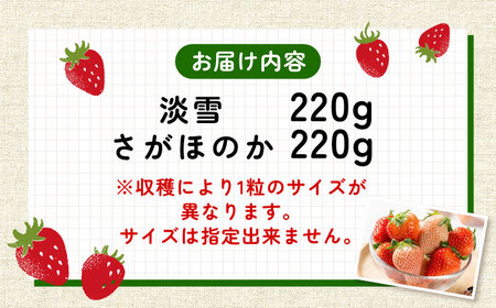 【2027年1月以降順次発送】淡雪・さがほのか セット各220g / 佐賀県 いちご / 岸川農園 [41ASAG043]