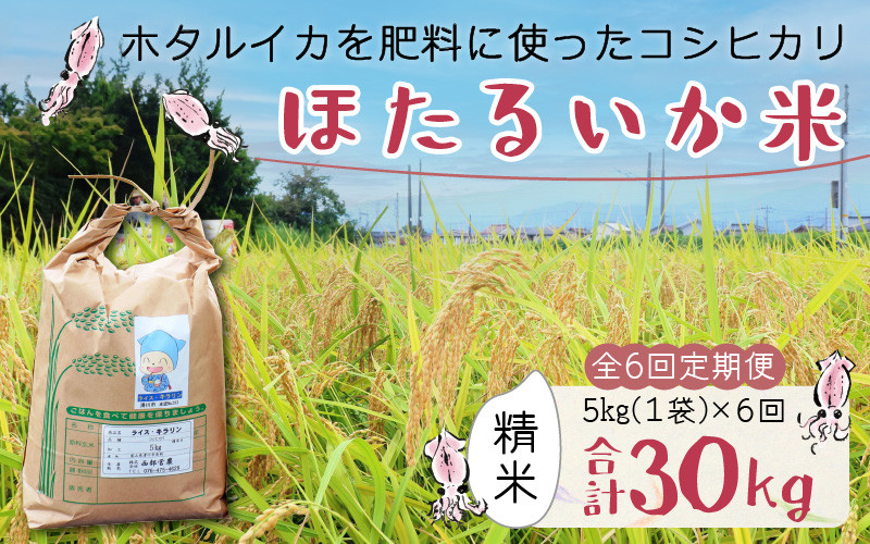 
                  ほたるいか米（精米５kg）×6回 計30kg【6ヶ月定期便】【訳あり 米 コシヒカリ こしひかり ほたるいか ホタルイカ お米 ブランド米 富山 滑川】
                