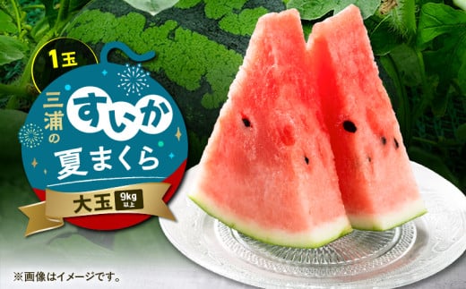 三浦のスイカ「夏まくら」（大玉）　M080-005-01