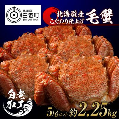 ふるさと納税 白老町 毛蟹 ボイル済み 冷凍 5尾セット 約2.25kg BM056