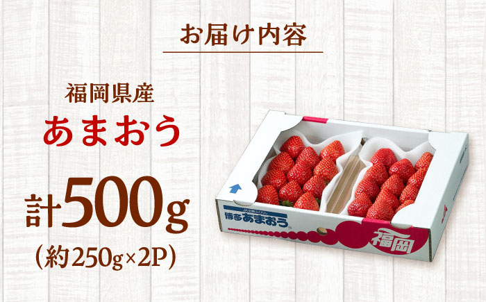 あまおう 博多 福岡 イチゴ 苺　ストロベリー