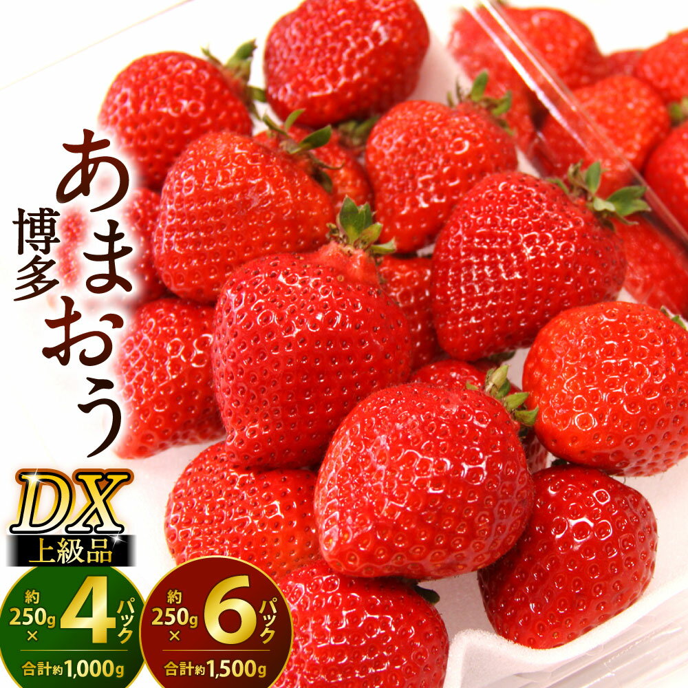 【ふるさと納税】福岡県産 博多あまおう DX上級品 1パック約250g入り 〈選べる〉4パック(合計約1kg) または 6パック(合計約1.5kg) 福岡県産特産品 うまもぐ厳選果物 いちご フルーツ 旬 果物 あまおう 苺 果汁 冷蔵 国産 九州 【2026年2月上旬～3月上旬発送予定】