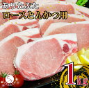 【ふるさと納税】【計1kg 小分け真空パック】ありたぶた ロース とんかつ用 約1kg (1枚約100g×10パック) 小分け 真空パック 豚肉 10000円 1万円 N10-60