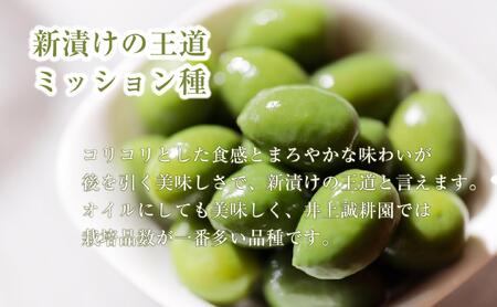 【井上誠耕園】～2025年とれたて～ 新漬けオリーブ ミッション種 80g×10袋
