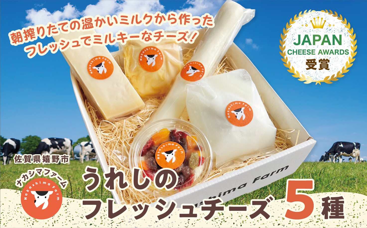 
            【セット】うれしのフレッシュチーズ5種セット(モッツァレラ・さけるチーズ・水田チーズ・みそ漬けモッツァレラ・チーズケーキ)
          