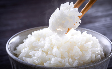米 七夕の里 白米 米【10kg(5kg×2袋)】【定期便 全6回】