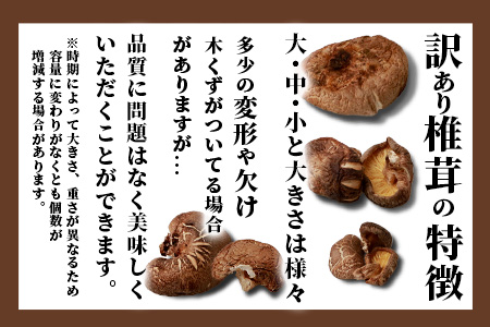 【訳あり】【徳用】秘境・椎葉村産 原木 乾しいたけ 600g（300g×2袋）【森林率96％の村の宝】