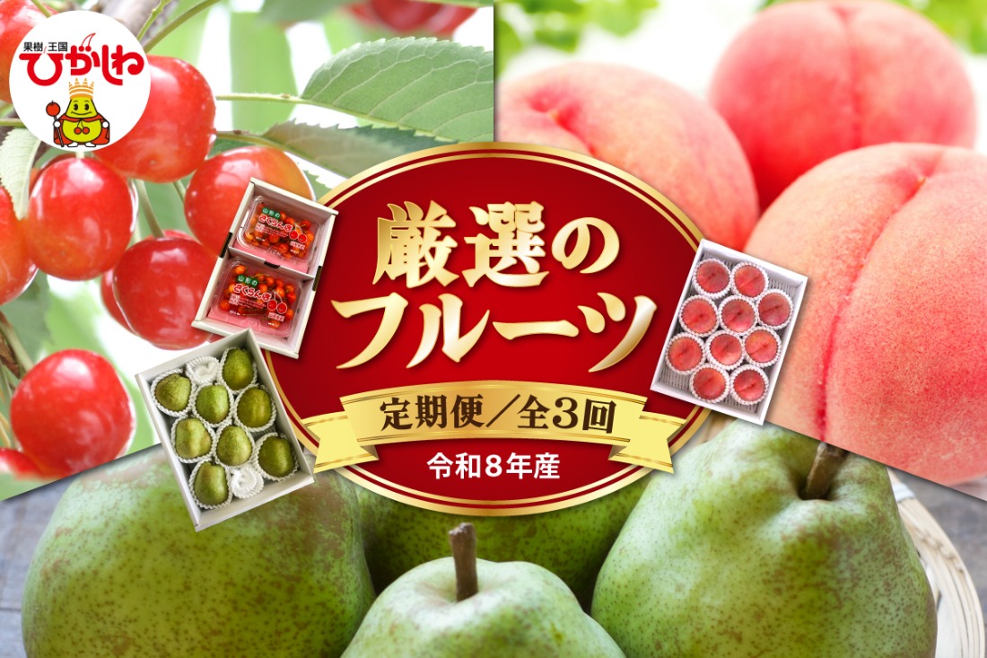 【2026年 先行予約 3回定期便】令和8年6月発送開始 東根市 厳選のフルーツ！ 東根市旬のフルーツ定期便 山形県 東根市 hi104-007