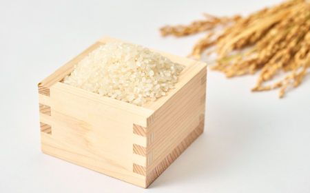 増山城御城印・戦国米(5kg)セット_精米 米_【1219502】