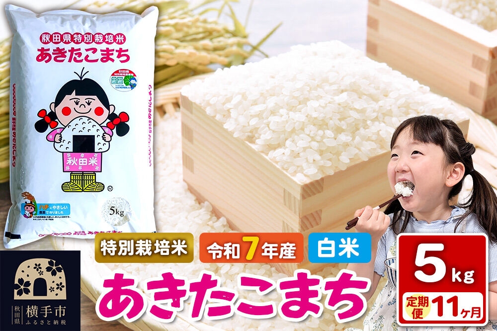 
                  令和7年産【白米】《定期便11ヶ月》特別栽培米 あきたこまち 5kg 秋田県 横手市 [秋田県産 あきたこまち 秋田こまち]
                
