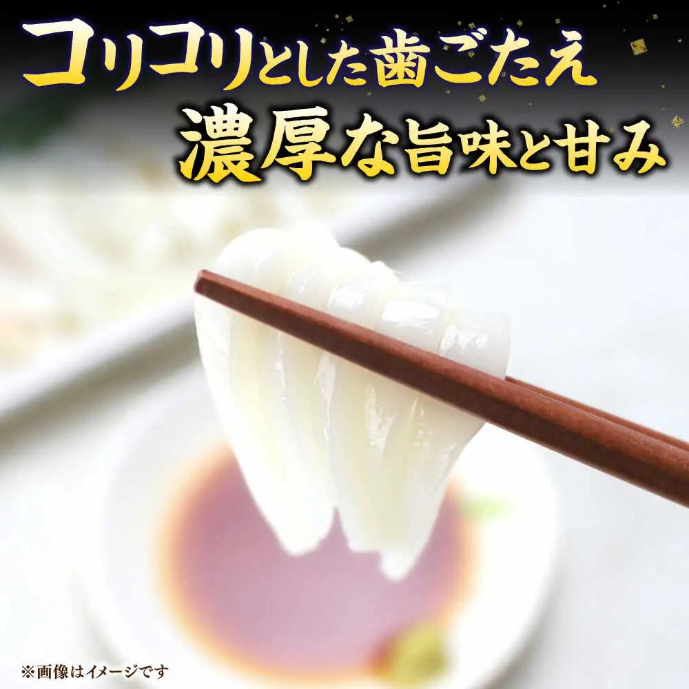 【全6回定期便】旬のイカ刺身1kg前後《壱岐市》【馬渡水産】イカ いか 烏賊 剣先 アオリ あおり スルメ するめ 刺身 刺し身 お刺身 海鮮 魚貝 冷凍配送 産地直送[JAQ032]