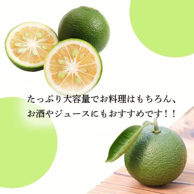 ふるさと納税 高原町 自家製ポン酢やサワーにおすすめ かぼすの手搾り果汁1L(業務用) TF818 |  | 03
