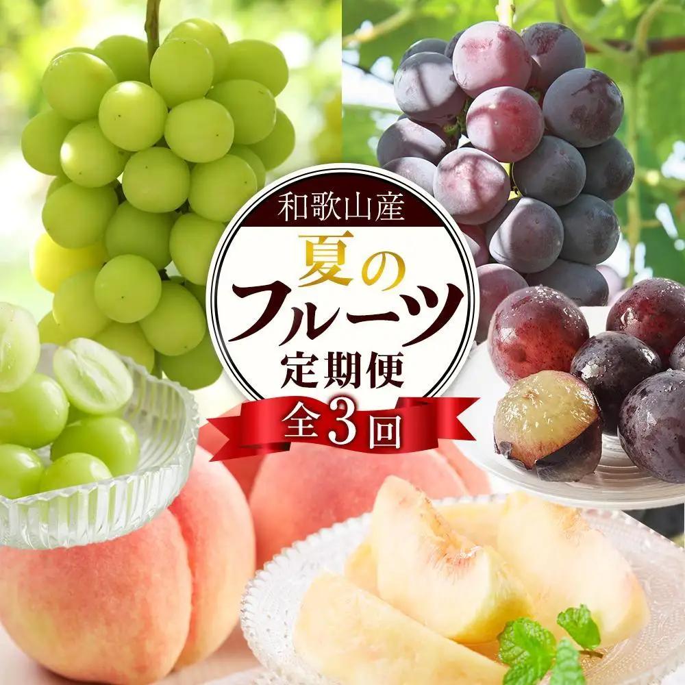 定期便全3回 【7月・8月・9月発送】 和歌山のフルーツをお届け　フルーツ