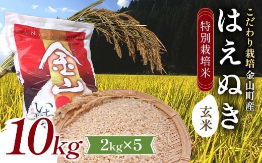 【先行予約 令和7年産】 金山町産 特別栽培米 はえぬき 玄米 2kg×5(10kg) 米 お米 ご飯 ブランド米 F4B-0609