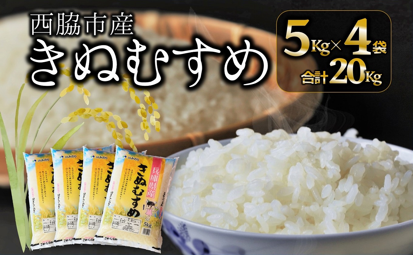 【ブランド米 きぬむすめ】精米20kg（5kg×4袋）38.5-3