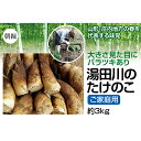 【ふるさと納税】 【先行予約 2025年5月発送】行列ができる山形・庄内地方の春の名物ブランドたけのこ 湯田川のたけのこ（ご家庭用）約3kg FSY-1180