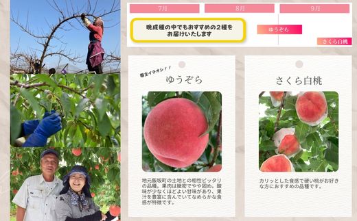No.2918 ヤマ考紺野果樹園 福島の桃だけ２種定期便各約2kg【2025年発送】