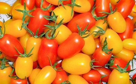 【訳あり】夏野菜セット3品【ミニトマト・なす・きゅうり】【2026年7月下旬～8月下旬発送予定】／ミニトマト トマト フルーツトマト なす きゅうり セット 野菜セット 詰め合わせ 詰合せ 野菜詰め合