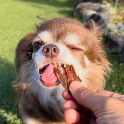 ふるさと納税 吉野ヶ里町 犬の無添加おやつ☆燻製の香りがたまらないスモークジャーキー3種詰合せ(ジビエ・チキン・エミュー) |  | 03