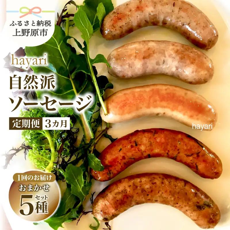 【3ヶ月定期便】hayariの自然派ソーセージおまかせ５種セット