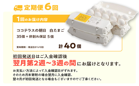 【6ヵ月定期便】ココテラスの朝日（白たまご）35個 + 5個保証（計40個）【JGAP認証】 農家直送 新鮮 卵 タマゴ 白卵 玉子 鶏卵 朝食 夕食 夜食 朝ごはん たまご焼き だし巻き卵 オムレツ