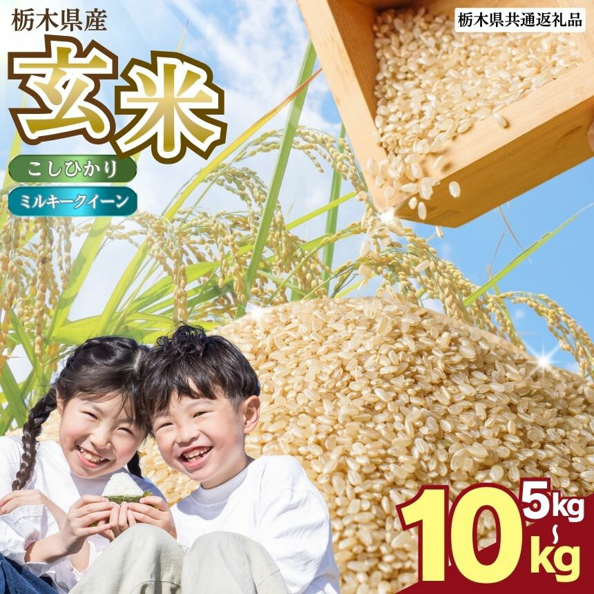 【ふるさと納税】数量限定！お米 こしひかり ミルキークイーン 玄米 | 選べる 5kg 10kg | コメ 米 こめ 玄米 コシヒカリ ミルキー クイーン 美味しい お弁当 選べる ふるさと 納税 栃木県 矢板市