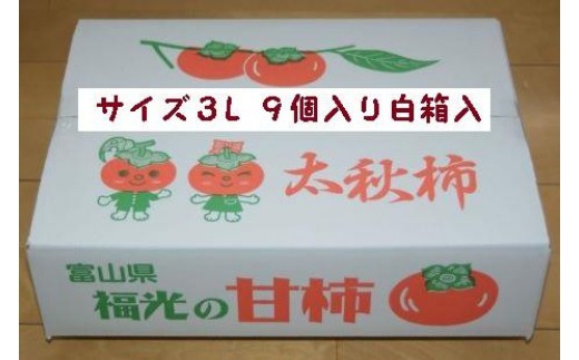 甘柿　太秋柿 輝太郎柿 詰合せ 3L9個入2.3kg以上 白箱入り【2026年10月15日頃より発送】