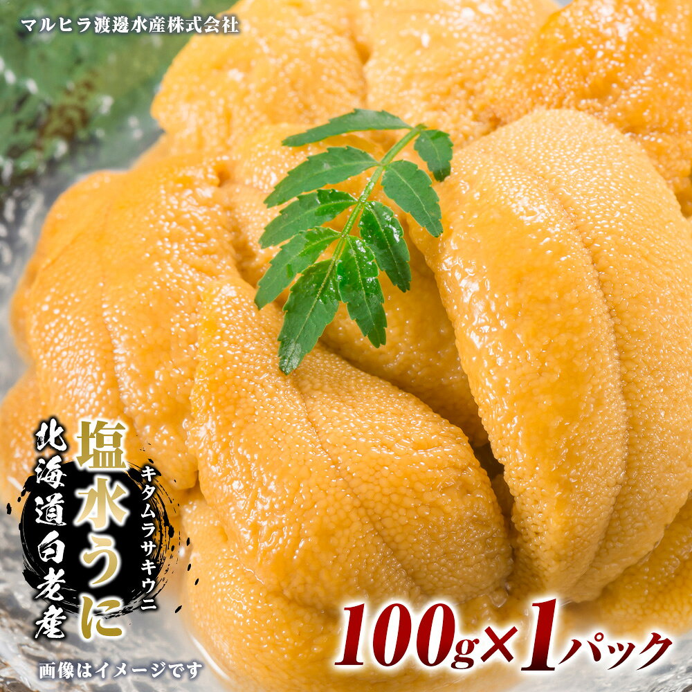 【ふるさと納税】ウニ本来の味が楽しめる【白老産】塩水ムラサキウニ 100g×1パック BT007白老町 ふるさと納税 北海道ふるさと納税 ウニ 北海道 ウニ うに 雲丹 むらさきうに 塩水 塩水ウニ