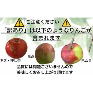 りんご 【1～2月発送】 訳あり 家庭用 百年木の香 三上農園 サンふじ 王林 ギフトセット 【 弘前市産 青森りんご 】