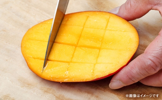 秀品 完熟マンゴー約1kg（2～3玉）