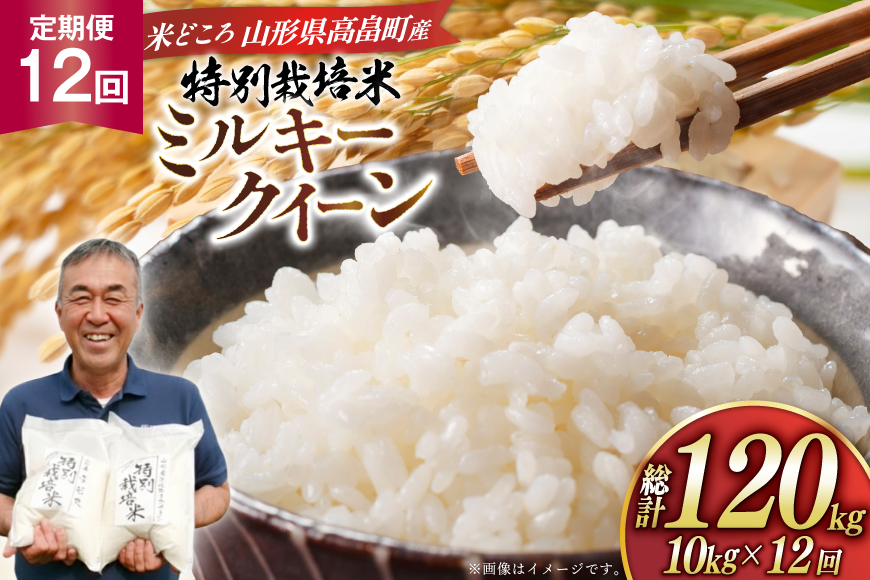 米 定期便 12回 令和8年産 特別栽培米 ミルキークイーン 10kg 12回 計120kg [渡部ファーム 山形県 高畠町 tk06ays810064] ふるさと納税 お米 おこめ こめ コメ 白米