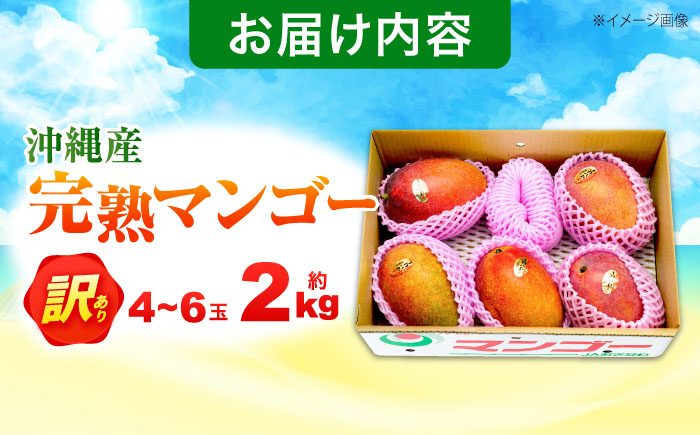 訳あり 完熟マンゴー 約2kg (4～6玉入) マンゴー 沖縄 果物 フルーツ ギフト 沖縄市 / ちゃんぷる～市場 [BCAA002]