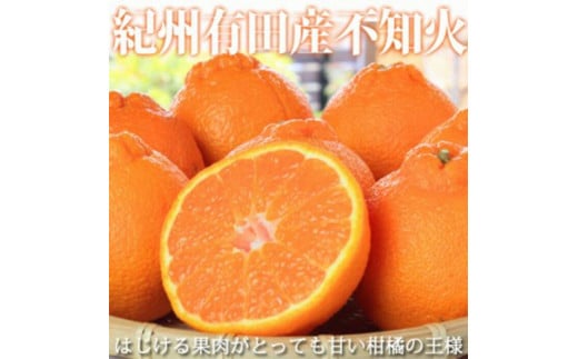 【2・4・6・8・10・12月 偶数固定月発送 全6回】和歌山産 旬のフルーツ お楽しみ 定期便 【魚鶴商店】【UT113w】