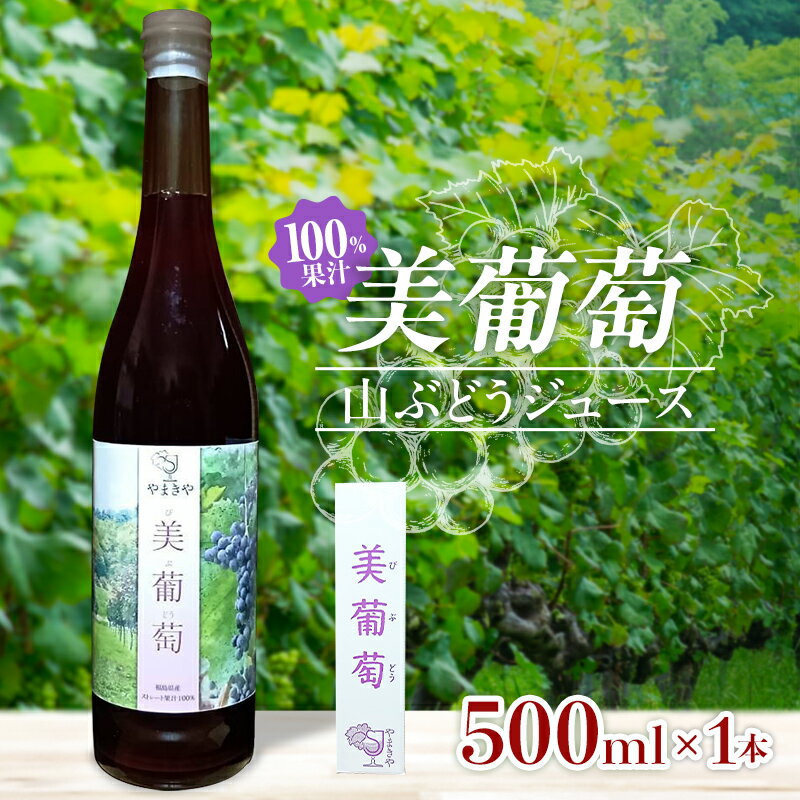 【ふるさと納税】美葡萄 山ぶどうジュース 500ml×1本 FAF-0007