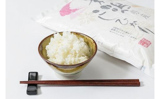 令和7年産 お米マイスターが育てた上越産コシヒカリ6kg(2kg×3)無洗米