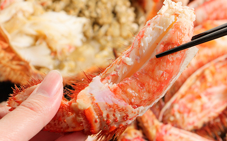 特特大サイズ！冷凍毛がに約1kg×1尾【斉藤水産】 AM150