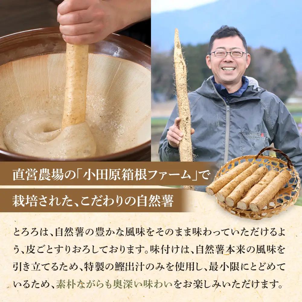 【ふるなびWEEK対象】解凍するだけでお店の味が楽しめる。自然薯味付とろろ100ｇ×１０ｐセット【とろろ 極上とろろ 山芋 箱根 お家用 家庭用 国産 セット商品 自然薯 味付とろろ 贈答品 神奈川県