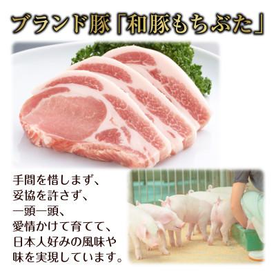 ふるさと納税 南魚沼市 和豚もちぶたと国産牛の合挽肉 メンチカツ 約100g×2個 4パック |  | 02