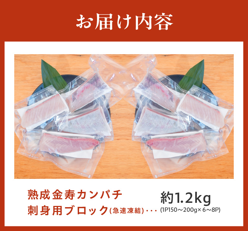 冷凍熟成金寿カンパチ1200ｇ（刺身用ブロック） N015-YC077_イメージ5