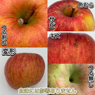 訳ありサンふじ　5kg(13玉～22玉)でお届け【令和7年11月上旬より順次発送】【配送不可地域：離島】