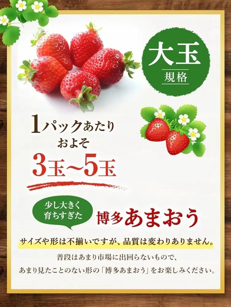 【2027年2月より順次発送】★大玉規格★博多あまおう2パック 約500g[H2224]
